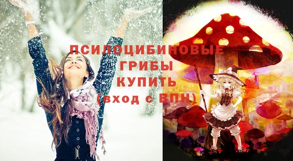 амф Абдулино